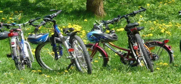 Balades à vélo